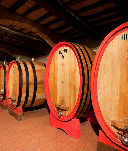 Cantina Salvioni